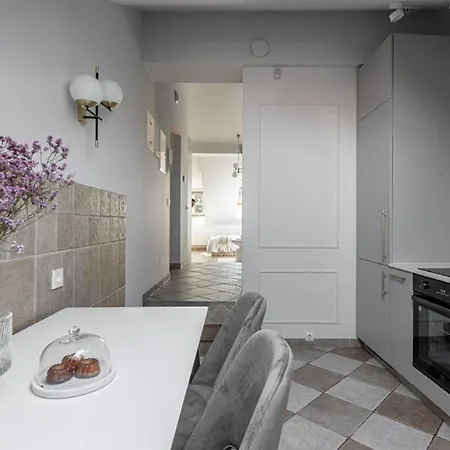 Traku Street In Appartement Vilnius